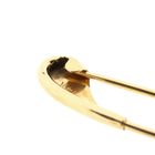 Afbeelding 5 van Vintage gouden kiltspeld
