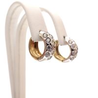 Two-tone gold earrings with zirconia