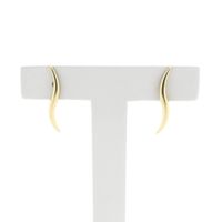 Golden fantasy stud earrings