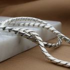 Image 2 of Silver Fox Tail Link Chain