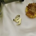 Image 6 of Gold letter brooch; letter G