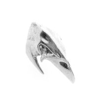 Silver ring with raven skull