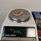 Image 23 of Rolex Precision; 18k gold ladies watch