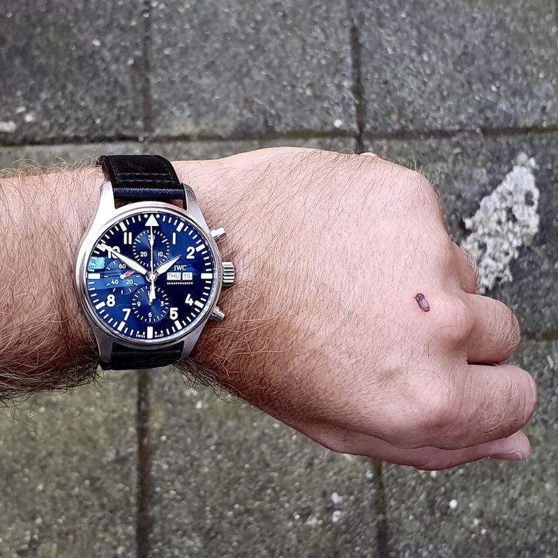 Image 8 of IWC Le Petit Prince; Chronograph Men's Watch