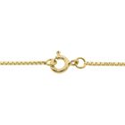 Image 5 of Golden Venetian link chain | 40.5 cm