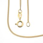 Image 1 of Gold gourmet link chain | 45.5 cm