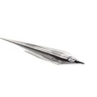 Image 3 of Silver charm; Kayak