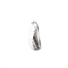 Image 1 of Silver charm; Shell