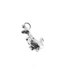 Image 3 of Silver charm; Dino