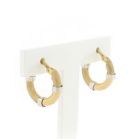 Bicolor Gold Earrings ; Ø 16.5