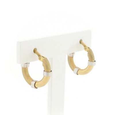 Image 1 of Bicolor Gold Earrings ; Ø 16.5