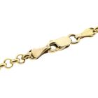 Afbeelding 4 van Gouden jasseron schakelketting 