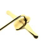 Image 5 of Gold lapel pin; AkzoNobel