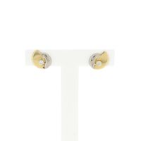 Bicolor gold earrings with zirconia