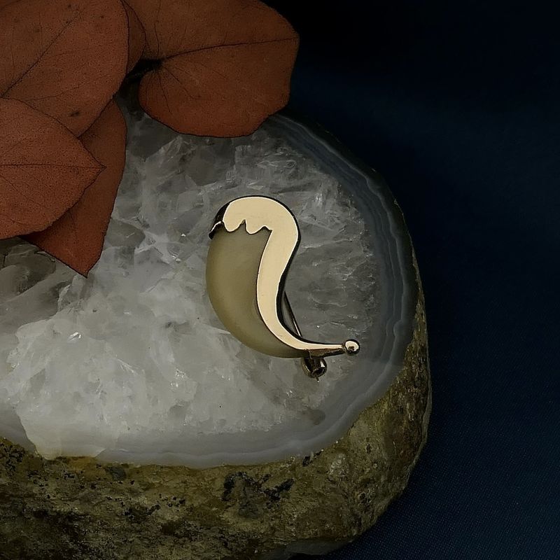 Image 2 of 9 carat brooch with tiger nail