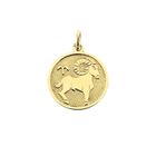 Image 1 of Gold zodiac sign pendant; Capricorn