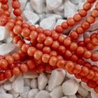 Image 3 of Blood coral bead necklace with gold clasp; Antique | 34 cm