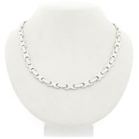 Silver fantasy link chain.