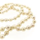Image 7 of Pearl bracelet with gold clasp; Antique | 20 cm