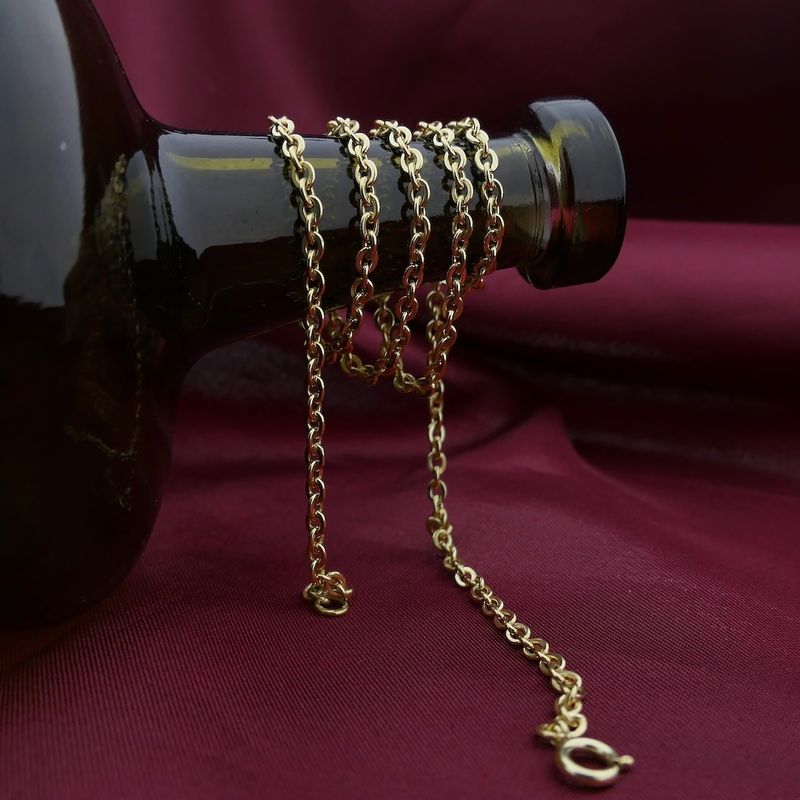 Image 1 of Gold anchor link necklace