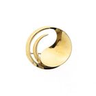 Image 1 of Dynamic gold brooch