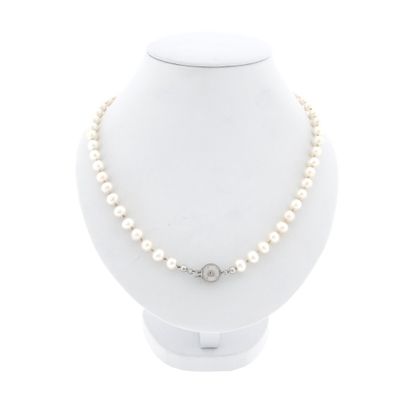 Image 1 of Pearl necklace with white gold clasp