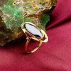 Afbeelding 6 van Gouden ring met hematiet