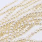 Image 7 of Pearl necklace with gold clasp