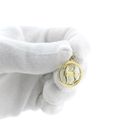 Image 10 of Golden zodiac sign pendant Capricorn