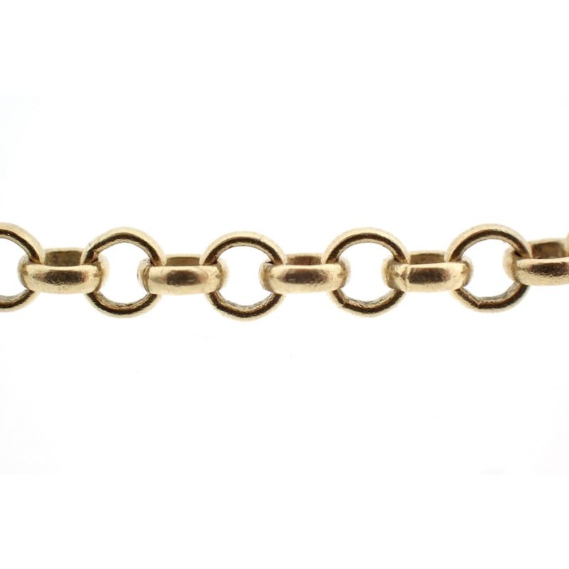 Image 2 of Golden jasseron link chain.