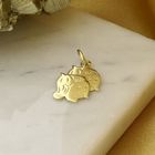 Image 7 of Gold pendant; Gemini