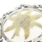 Image 7 of Silver brooch with dried edelweiss flower
