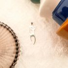 Image 8 of Silver pendant of a cat