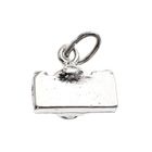 Image 4 of Silver charm; Camera