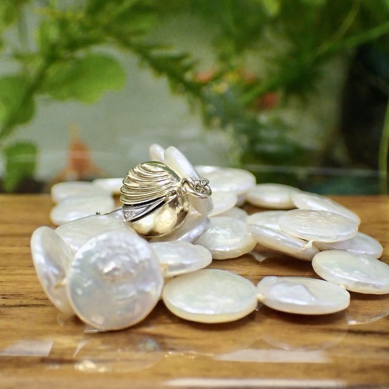 Image 2 of Pearl necklace with gold clasp.