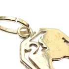 Image 4 of Gold zodiac sign pendant; Leo