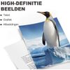 Afbeelding van G&G Huismerk Toner Alternatief voor HP 410X (CF411X) Cyaan Hoge Capaciteit