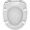 Afbeelding van SCHÜTTE WC-Bril 82191 NEON PAINT - Duroplast - Soft Close - Verchroomde Scharnieren - Decor - 1-zij