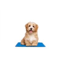 909 Outdoor Koelmat voor Huisdieren – Koeling Mat voor Honden en Katten – Cooling Mat – Blauw - 40