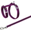 Afbeelding van Trixie tuig voor kat met riem metalen gespen reflecterend assorti 22-42x1 cm 120 cm