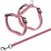 Afbeelding van Trixie tuig voor kat met riem metalen gespen reflecterend assorti 22-42x1 cm 120 cm