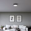 Afbeelding van Smartwares Plafondlamp - Ø 30 cm - Zwart - E14 - 10.004.64