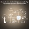 Afbeelding van Philips Hue filament Edison lamp ST72 - zachtwit licht - 1-pack - E27