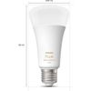 Afbeelding van Philips Hue standaardlamp E27 Lichtbron - warm tot koelwitlicht - 1-pack - 1600lm - Bluetooth