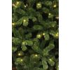 Afbeelding van Black Box Trees Charlton Kunstkerstboom met LED Verlichting - H185 x Ø115 cm - Groen