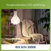 Afbeelding van Philips Ultra Efficient LED lamp Mat - 100 W - E27 - Wit licht