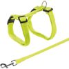 Afbeelding van Trixie tuig voor kat met riem metalen gespen assorti 22-42x1 cm 125 cm