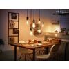Afbeelding van Philips Hue filament Edison lamp ST72 - zachtwit licht - 1-pack - E27