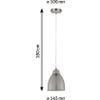 Afbeelding van Paulmann 79765 Neordic Hilla hanglamp max.1x40W E27 ijzer geborsteld 230V metaal