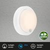 Afbeelding van BRILONER - PULA - LED-buitenwandlamp op batterijen, sensor,